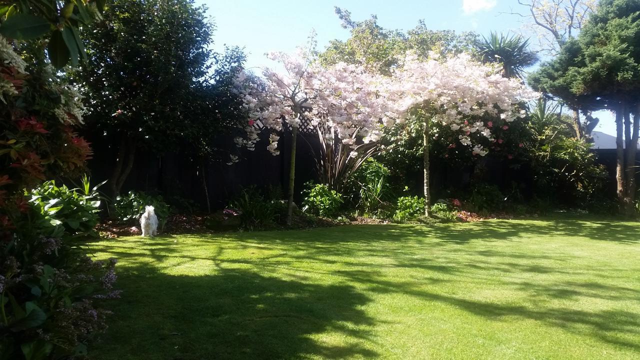 Berni'S Boutique Bnb Christchurch Esterno foto